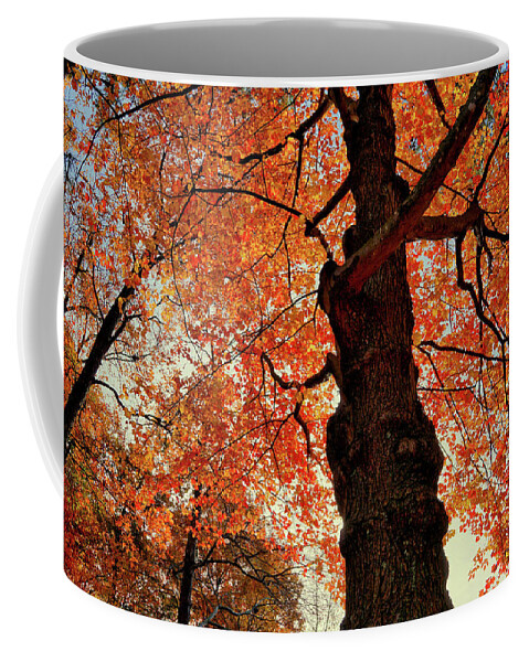 Leaf Coffee Mug featuring the photograph Fire Tree of Life by Montez Kerr