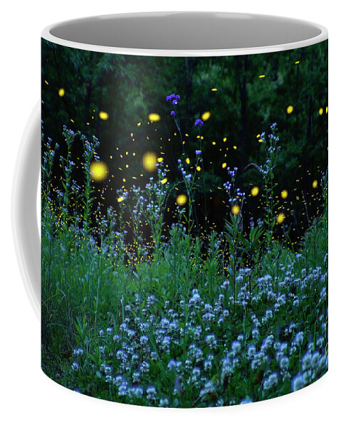 00573992 Coffee Mug featuring the photograph Fireflies and the Night Meadow by Hiroya Minakuchi
