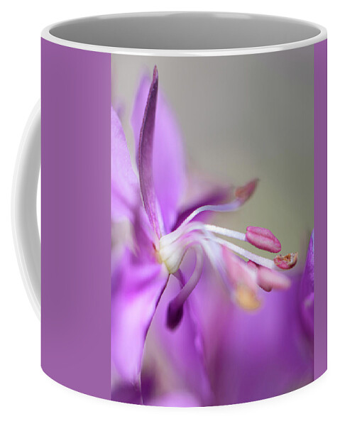 Fireweed Coffee Mug featuring the photograph Fireweed Close Up by Karen Rispin
