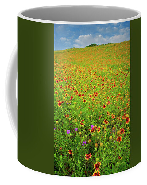 Texas Hill Country Coffee Mug featuring the photograph Firewheel Heaven by Lynn Bauer