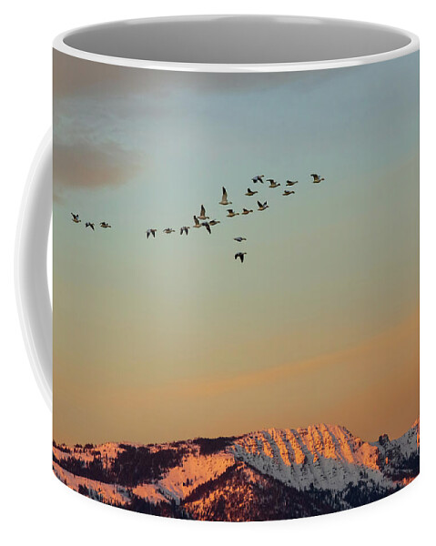 Nature Coffee Mug featuring the photograph First Flight at First Light by Mike Lee