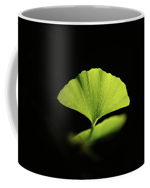Leaves Coffee Mug featuring the photograph First Ginkgo Leaf by Philippe Sainte-Laudy