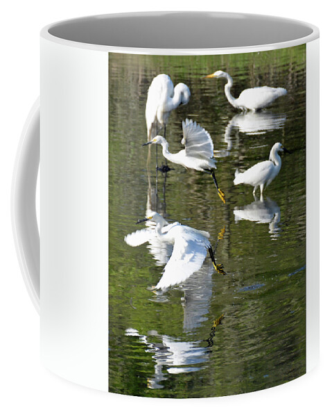 Birds Coffee Mug featuring the photograph Fish and Fly by Bruce Gourley