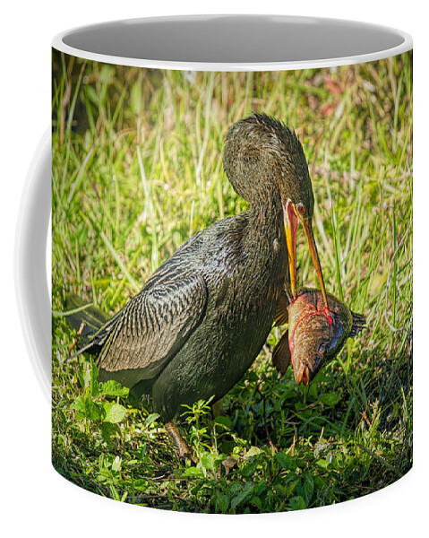 Swamp Birds Coffee Mug featuring the photograph Fish are Biting by Judy Kay