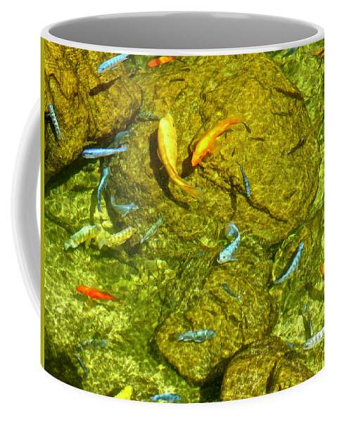 Fish Coffee Mug featuring the photograph Fish Pond Waikiki by Amelia Racca