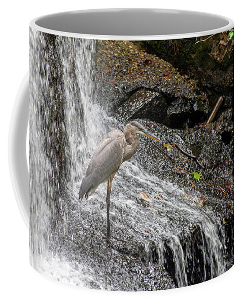 Waterfall Coffee Mug featuring the photograph Fishing or showering by Stacy Abbott