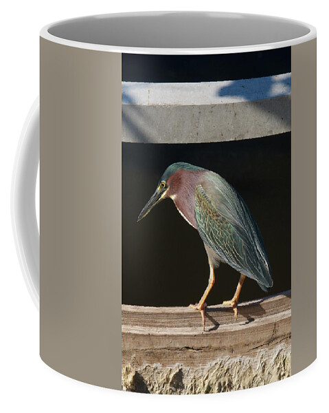 Florida Coffee Mug featuring the photograph Fishing Time by Melissa Southern