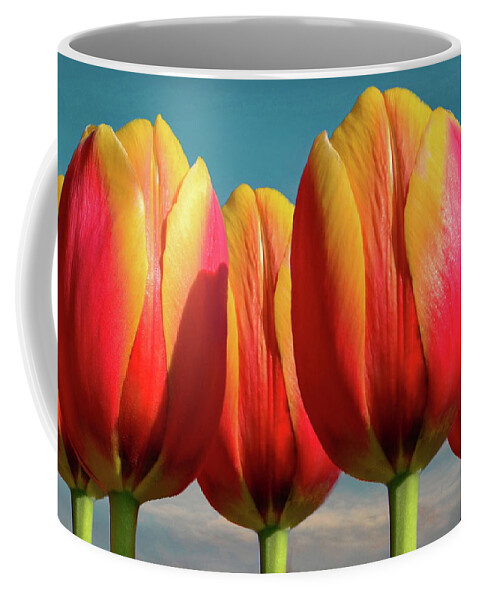 Calypso Coffee Mug featuring the photograph Five Calypso Tulips by Russ Harris