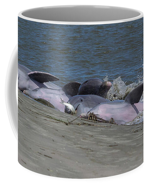 Dolpin Strand Feeding Coffee Mug featuring the photograph Five for Dinner by Patricia Schaefer