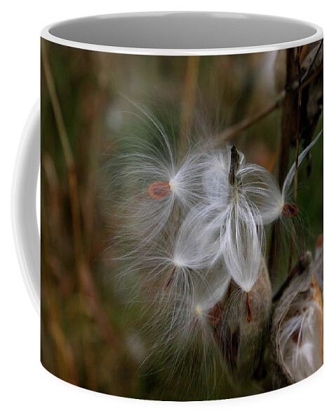 Milkweed Coffee Mug featuring the photograph Five Seeds for the Wind by Wayne King