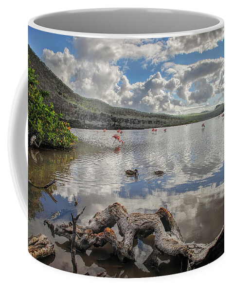 Ecuador Coffee Mug featuring the photograph Flamingo lagoon - Floreana island by Henri Leduc