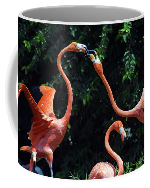 Photograph Coffee Mug featuring the photograph Flamingos by Larah McElroy