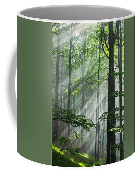 Fog Coffee Mug featuring the photograph Fleeting Beams by Evgeni Dinev
