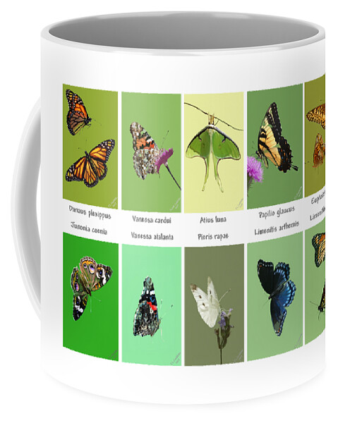 Wildlife Coffee Mug featuring the mixed media Flights of Fancy by Judy Cuddehe