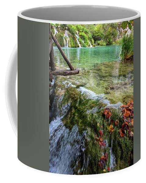 Plitvice Lakes Coffee Mug featuring the photograph Floating Away by Yvonne Jasinski