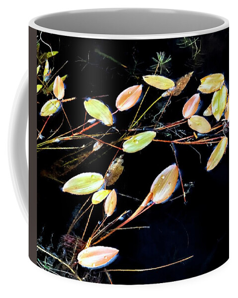 Nature Coffee Mug featuring the photograph Floating Branches and Leaves 2 by Jerry Sodorff