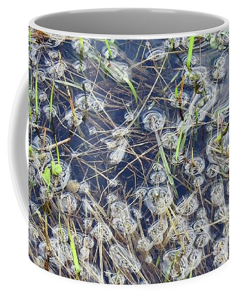 Grasses And Weeds Submerged Coffee Mug featuring the photograph Flood puddles by Nicola Finch