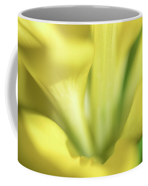 Flower Coffee Mug featuring the photograph Floral Dreams by Amelia Pearn