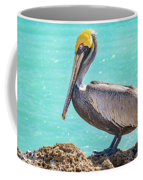 Florida Coffee Mug featuring the photograph Florida Brown Pelican by Darren White