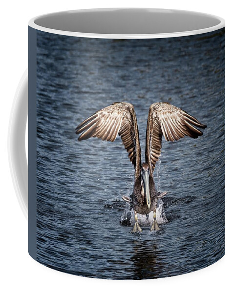 Bird Coffee Mug featuring the photograph Florida Brown Pelican walking on water by Ronald Lutz