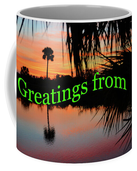 Florida Postcard Coffee Mug featuring the photograph Florida everglades greatings card by David Lee Thompson