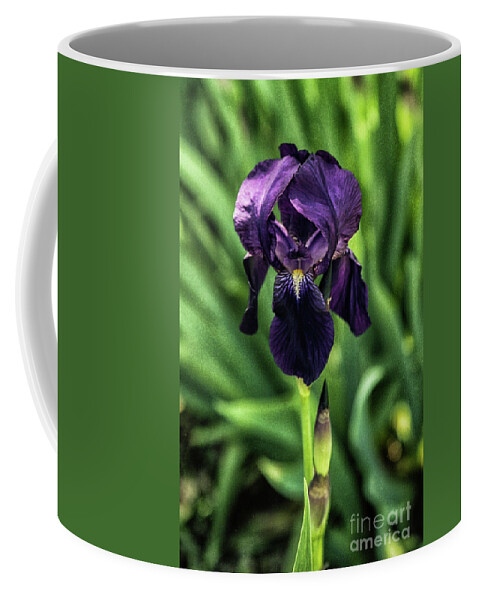 Arizona Coffee Mug featuring the photograph Flower and Bud by Kathy McClure