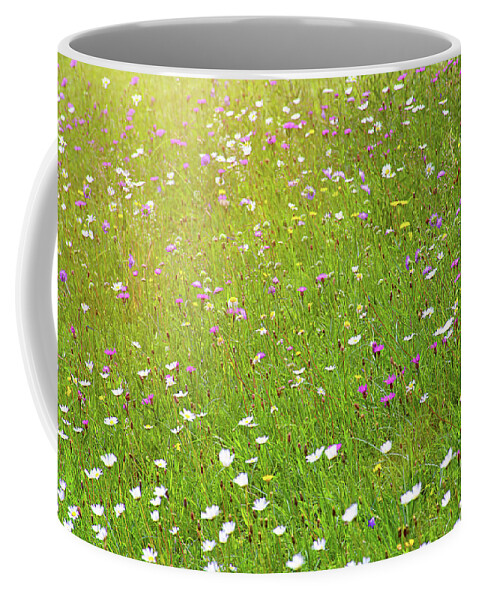 Idyllic Coffee Mug featuring the photograph Flower meadow in sunlight by Bernhard Schaffer