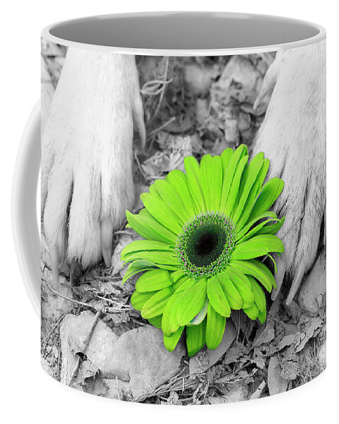 Dogs Coffee Mug featuring the photograph Flower PAWER-Lime by Renee Spade Photography
