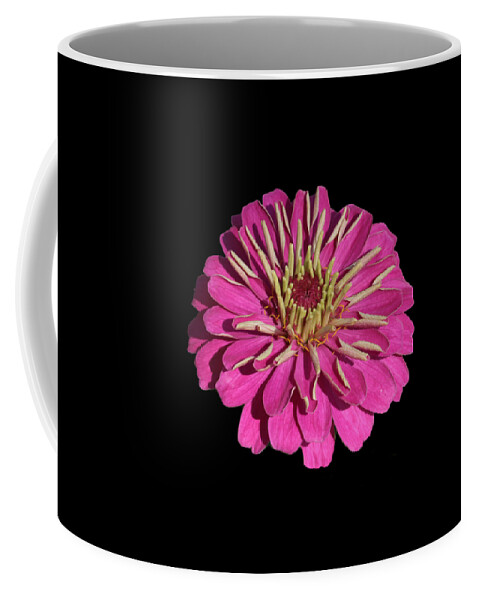 Zinnia Coffee Mug featuring the photograph Flower Power - Bright Pink Zinnia with Black Backgound by Carol Groenen