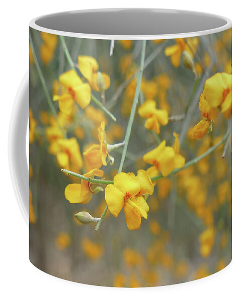 Flowers Coffee Mug featuring the photograph Flower Shower by Maryse Jansen