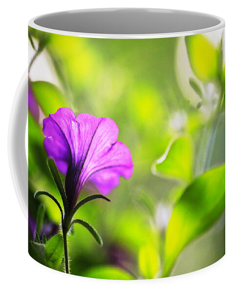 Purple Coffee Mug featuring the photograph Flower Through Sunlight by Carol Jorgensen