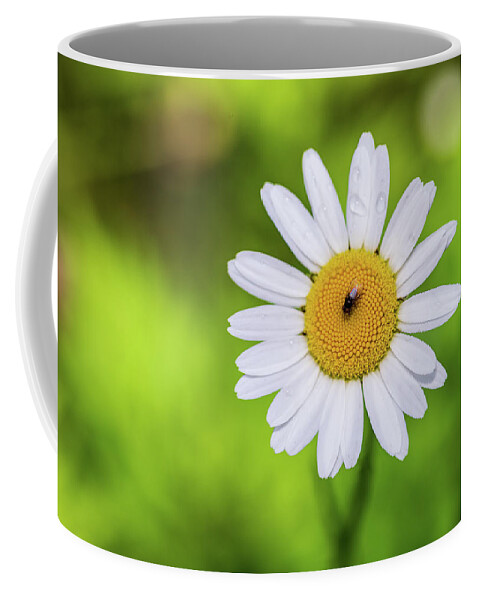 Flowers Coffee Mug featuring the photograph Flowers and Insects - Nature Photography by Amelia Pearn