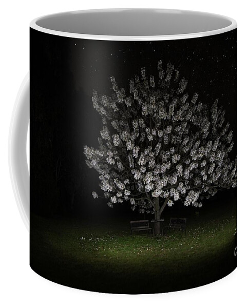 Flowers Coffee Mug featuring the photograph Flowers by Starlight by Linda Lees