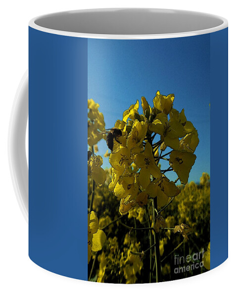Digital Art Coffee Mug featuring the photograph Flowers of colza 2 by Jean Bernard Roussilhe
