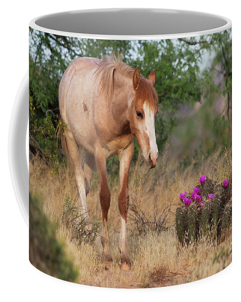 Yearling Coffee Mug featuring the photograph Flowers by Shannon Hastings