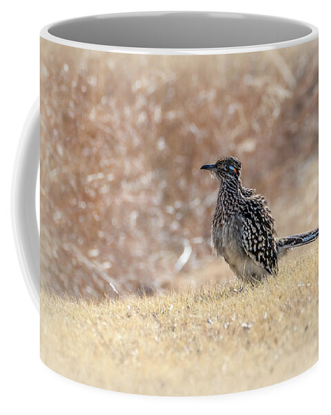 Cuckoos Coffee Mug featuring the photograph Fluffy Greater Roadrunner by Debra Martz