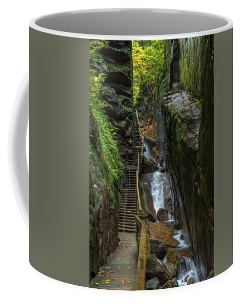 Flume Gorge Coffee Mug featuring the photograph Flume Gorge Walkway by White Mountain Images
