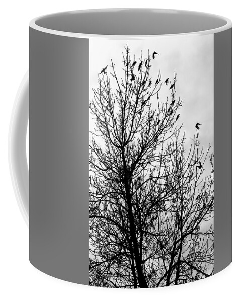 Birds Coffee Mug featuring the photograph Fly Away Birds by Amanda R Wright