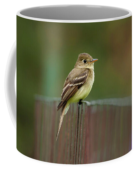 Fly Catcher Coffee Mug featuring the photograph Fly Catcher by Pamela Dunn-Parrish