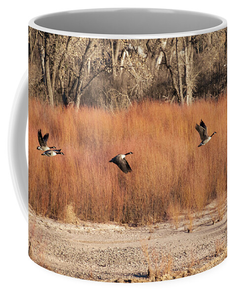 Geese Coffee Mug featuring the photograph Flying Geese in the Bosque by Mary Lee Dereske
