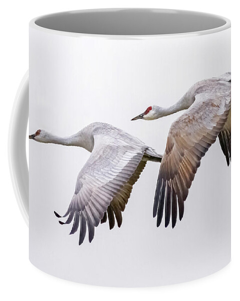 Birds Coffee Mug featuring the photograph Flying Sandhill Cranes #3 by Carla Brennan
