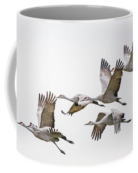 Coffee Mug featuring the photograph Flying Sandhill Cranes #5 by Carla Brennan
