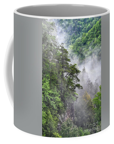 Fall Creek Falls Coffee Mug featuring the photograph Fog In Valley 2 by Phil Perkins