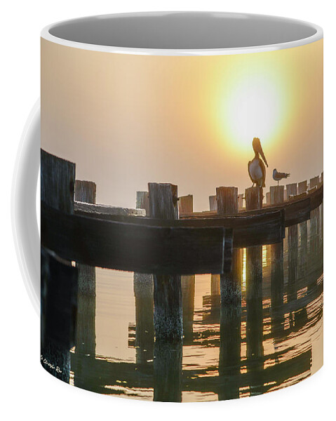 Pelican Coffee Mug featuring the photograph Foggy Coastline by Christopher Rice