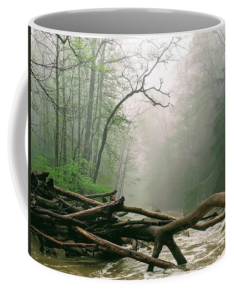 River Coffee Mug featuring the photograph Foggy River by Brad Nellis