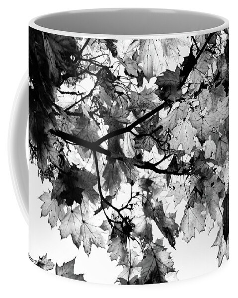 Black Coffee Mug featuring the photograph Forest abstraction by Robert Grac