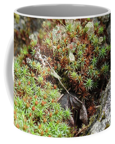 Lichen Coffee Mug featuring the photograph Forest beauty by Nicola Finch