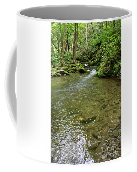 Trees Coffee Mug featuring the photograph Forest Creek by Phil Perkins