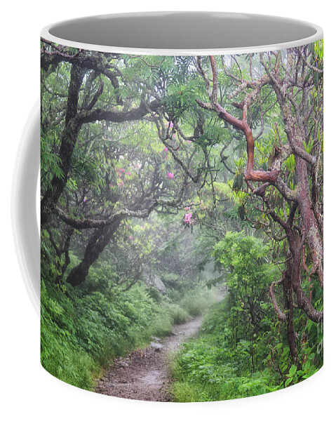 Craggy Gardens Coffee Mug featuring the photograph Forest Fantasy by Blaine Owens