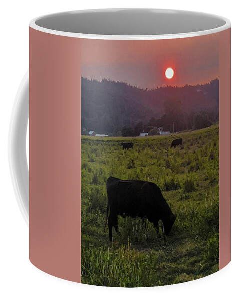Forest Coffee Mug featuring the photograph Forest Fire Haze by Grey Coopre